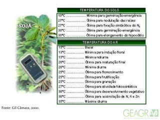 Fonte: Gil Câmara, 2000.
 