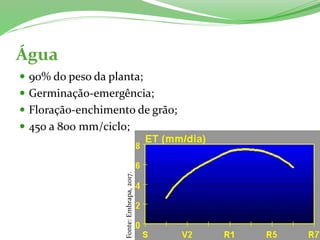 Água
 90% do peso da planta;
 Germinação-emergência;
 Floração-enchimento de grão;
 450 a 800 mm/ciclo;Fonte:Embrapa,2017.
 