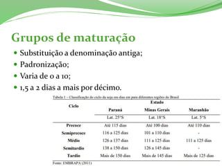 Grupos de maturação
 Substituição a denominação antiga;
 Padronização;
 Varia de 0 a 10;
 1,5 a 2 dias a mais por décimo.
 