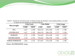 Fonte: ALLIPRANDINI, 2009.
 