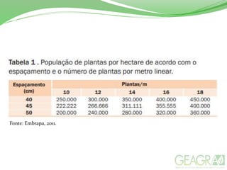 Fonte: Embrapa, 2011.
 