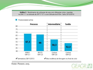 Fonte: Pioneer, 2015.
 