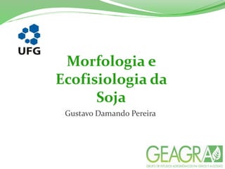 Morfologia e
Ecofisiologia da
Soja
Gustavo Damando Pereira
 