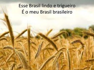 Esse Brasil lindo e trigueiro
É o meu Brasil brasileiro

 