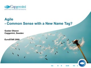 Agile
- Common Sense with a New Name Tag?
Gustav Olsson
Capgemini, Sweden
EuroSTAR 2009
 