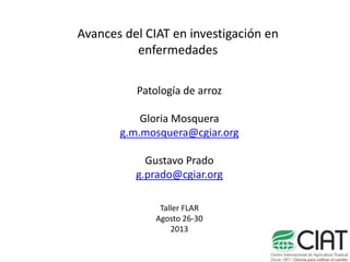 Avances del CIAT en investigación en
enfermedades
Patología de arroz
Gloria Mosquera
g.m.mosquera@cgiar.org
Gustavo Prado
g.prado@cgiar.org
Taller FLAR
Agosto 26-30
2013
 