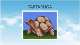TARTARUGA
 