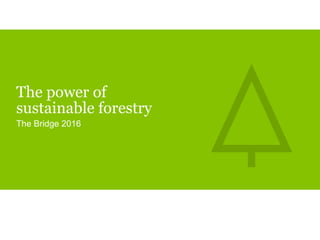 The power of
sustainable forestry
The Bridge 2016
 