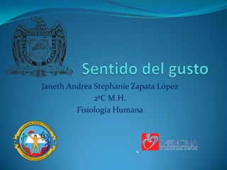 Sentido del gusto Janeth Andrea Stephanie Zapata López 2ºC M.H. Fisiología Humana 