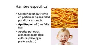Hambre específica
• Carecer de un nutriente
en particular da ansiedad
por dicha sustancia
• Apetito por sal (nos falta
Na)
• Apetito por otros
alimentos (complejo,
cultura, psicología,
preferencia….)
 