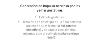 Generación de impulso nervioso por las
yemas gustativas.
1. Estimulo gustativo
2. Frecuencia de descargas de la fibra nerviosa
asciende a su máximo,(señal potente
inmediata) y se adapta parcialmente,
mientras dure el estímulo (señal continua
débil)
 