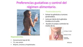 Preferencias gustativas y control del
régimen alimentario.
Hiponatremia.
• Concentración baja de NA.
• T.E. mas común.
• Mujeres, ancianos y hospitalizados.
Paratiroidectomía.
• Extraer las glándulas o tumores
paratiroideos.
• Justo por detrás de la glándula
tiroidea en el cuello.
• Ayudan al cuerpo a controlar los
niveles de Ca.
 