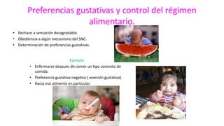 Preferencias gustativas y control del régimen
alimentario.
• Rechazo a sensación desagradable.
• Obediencia a algún mecanismo del SNC.
• Determinación de preferencias gustativas.
Ejemplo:
• Enfermarse después de comer un tipo concreto de
comida.
• Preferencia gustativa negativa ( aversión gustativa).
• Hacia ese alimento en particular.
 