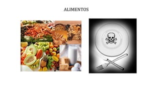ALIMENTOS
 