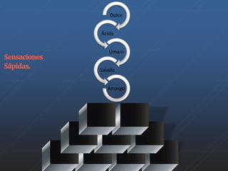 Dulce 
Ácida 
Umani 
Salado 
Amargo 
 