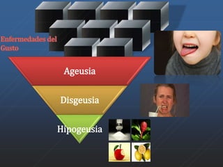 Ageusia 
Disgeusia 
Hipogeusia 
 
