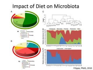 Impact of Diet on Microbiota
Filippo, PNAS, 2010
 