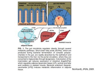 Reinhardt, JPGN, 2009
 