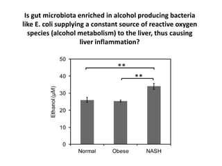 Is gut microbiota enriched in alcohol producing bacteria
like E. coli supplying a constant source of reactive oxygen
species (alcohol metabolism) to the liver, thus causing
liver inflammation?
 