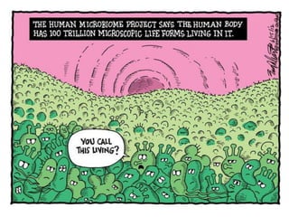 Gut microbiome obesity nafld