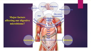 Major factors
affecting our digestive
microbiome?
Host genetics
Pollution
Pharmaceuticals
Microbial
exposures
Psychological
status
Diet
Stress
the
Commensals Pathobionts
 