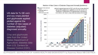 GLYPHOSATE: DESTRUCTOR OF HUMAN HEALTH AND BIODIVERSITY by Rosemary Mason MB ChB FRCA
US data for % GE corn
and soy crops planted
and glyphosate applied
plotted against the
number of new cases of
diabetes (adjusted)
diagnosed annually.
Crop and glyphosate
data from the United
States Department of
Agriculture; diabetes data
from U.S. Centers for
Disease Control (CDC).
 