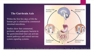 Within the first few days of life the
human gut is colonized by commensal
intestinal microbiota.
Studies show that commensal,
probiotic, and pathogenic bacteria in
the gastrointestinal tract can activate
neural pathways and central nervous
system signaling systems.
Gut-brain axis: how the microbiome influences anxiety and depression, Foster JA, McVey Neufeld KA.
The Gut-brain Axis
 