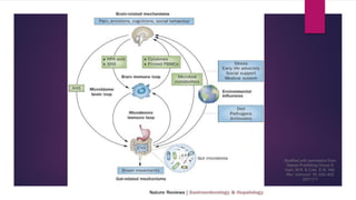 Figure 1 Brain–gut axis
Mayer, E. A. et al. (2015) Towards a systems view of IBS
Nat. Rev. Gastroenterol. Hepatol. doi:10.1038/nrgastro.2015.121
Modified with permission from
Nature Publishing Group ©
Irwin, M.R. & Cole, S.W. Nat.
Rev. Immunol. 11, 625–632
(2011)103
 