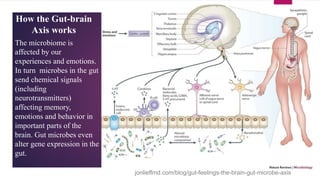 The microbiome is
affected by our
experiences and emotions.
In turn microbes in the gut
send chemical signals
(including
neurotransmitters)
affecting memory,
emotions and behavior in
important parts of the
brain. Gut microbes even
alter gene expression in the
gut.
How the Gut-brain
Axis works
jonlieffmd.com/blog/gut-feelings-the-brain-gut-microbe-axis
 
