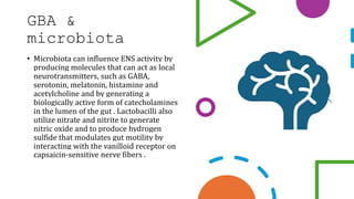 GBA &
microbiota
• Microbiota can influence ENS activity by
producing molecules that can act as local
neurotransmitters, such as GABA,
serotonin, melatonin, histamine and
acetylcholine and by generating a
biologically active form of catecholamines
in the lumen of the gut . Lactobacilli also
utilize nitrate and nitrite to generate
nitric oxide and to produce hydrogen
sulfide that modulates gut motility by
interacting with the vanilloid receptor on
capsaicin-sensitive nerve fibers .
 