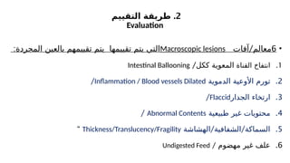 2
.
‫التقييم‬ ‫طريقة‬
Evaluation
•
6
/
‫آفات‬ ‫معالم‬
Macroscopic lesions
:‫المجردة‬ ‫بالعين‬ ‫تقييمهم‬ ‫يتم‬ ‫تقييمها‬ ‫يتم‬ ‫التي‬
.1
‫القناة‬ ‫انتفاخ‬
/‫ككل‬ ‫المعوية‬
Intestinal Ballooning
.2
‫الدموية‬ ‫األوعية‬ ‫تورم‬
Inflammation / Blood vessels Dilated
/
.3
‫الجدار‬ ‫ارتخاء‬
Flaccid
/
.4
‫طبيعية‬ ‫غير‬ ‫محتويات‬
Abnormal Contents
/
.5
/ /
‫الهشاشة‬ ‫الشفافية‬ ‫السماكة‬
Thickness/Translucency/Fragility
“
.6
‫مهضوم‬ ‫غير‬ ‫علف‬
/
Undigested Feed
 