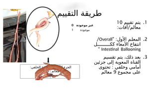 ‫التقييم‬ ‫طريقة‬
.1
‫تقييم‬ ‫يتم‬
10
: /
‫آفات‬ ‫معالم‬
.2
:‫األول‬ ‫'م‬
‫ل‬‫المع‬
"
Overall
/
‫كك''''''''''ل‬ ‫األمعاء‬ ‫انتفاخ‬
Intestinal Ballooning
“
.3
‫تقسيم‬ ‫يتم‬ ،‫ذلك‬ ‫بعد‬
‫جزئين‬ ‫إلى‬ ‫المعوية‬ ‫القناة‬
:
‫تحتوى‬ ‫وخلفي‬ ‫أمامي‬
‫مجموع‬ ‫على‬
9
‫معالم‬
0 ‫موجودة‬ ‫غير‬
1 ‫موجودة‬
:‫الخلفي‬ ‫الجزء‬
5
‫معالم‬
:‫األمامي‬ ‫الجزء‬
4
‫معالم‬
 