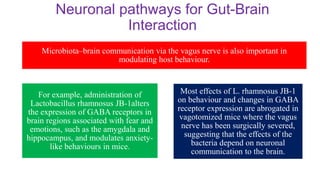 Neuronal pathways for Gut-Brain
Interaction
Microbiota–brain communication via the vagus nerve is also important in
modulating host behaviour.
For example, administration of
Lactobacillus rhamnosus JB-1alters
the expression of GABA receptors in
brain regions associated with fear and
emotions, such as the amygdala and
hippocampus, and modulates anxiety-
like behaviours in mice.
Most effects of L. rhamnosus JB-1
on behaviour and changes in GABA
receptor expression are abrogated in
vagotomized mice where the vagus
nerve has been surgically severed,
suggesting that the effects of the
bacteria depend on neuronal
communication to the brain.
 