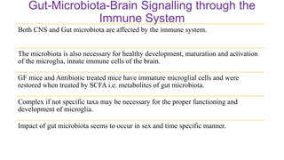 Gut-Microbiota-Brain Signalling through the
Immune System
Both CNS and Gut microbiota are affected by the immune system.
The microbiota is also necessary for healthy development, maturation and activation
of the microglia, innate immune cells of the brain.
GF mice and Antibiotic treated mice have immature microglial cells and were
restored when treated by SCFA i.e. metabolites of gut microbiota.
Complex if not specific taxa may be necessary for the proper functioning and
development of microglia.
Impact of gut microbiota seems to occur in sex and time specific manner.
 