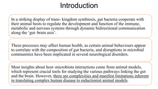 Introduction
In a striking display of trans- kingdom symbiosis, gut bacteria cooperate with
their animal hosts to regulate the development and function of the immune,
metabolic and nervous systems through dynamic bidirectional communication
along the ‘gut–brain axis’.
These processes may affect human health, as certain animal behaviours appear
to correlate with the composition of gut bacteria, and disruptions in microbial
communities have been implicated in several neurological disorders.
Most insights about host–microbiota interactions come from animal models,
which represent crucial tools for studying the various pathways linking the gut
and the brain. However, there are complexities and manifest limitations inherent
in translating complex human disease to reductionist animal models.
 