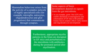 Mammalian behaviour arises from
the activity of a complex network
of highly specialized cells (for
example, microglia, astrocytes,
oligodendrocytes and glial
progenitors) that communicate
through synapses.
Some aspects of brain
development depend on signals
from the gut microbiota.
• As an example, germ- free (GF) mice
exhibit alterations in neurogenesis and
colonization of GF mice with preterm
human faecal samples affects early neuron
and oligodendrocyte development.
Furthermore, appropriate myelin
patterns in the brain are disrupted
in GF mice and perturbations to
the microbiota with antibiotics
during the postnatal period alter
myelination.
 