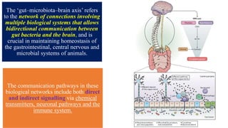 The ‘gut–microbiota–brain axis’ refers
to the network of connections involving
multiple biological systems that allows
bidirectional communication between
gut bacteria and the brain, and is
crucial in maintaining homeostasis of
the gastrointestinal, central nervous and
microbial systems of animals.
The communication pathways in these
biological networks include both direct
and indirect signalling via chemical
transmitters, neuronal pathways and the
immune system.
 