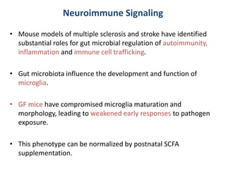 Neuroimmune Signaling
• Mouse models of multiple sclerosis and stroke have identified
substantial roles for gut microbial regulation of autoimmunity,
inflammation and immune cell trafficking.
• Gut microbiota influence the development and function of
microglia.
• GF mice have compromised microglia maturation and
morphology, leading to weakened early responses to pathogen
exposure.
• This phenotype can be normalized by postnatal SCFA
supplementation.
 