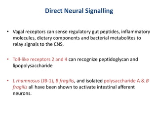 Direct Neural Signalling
• Vagal receptors can sense regulatory gut peptides, inflammatory
molecules, dietary components and bacterial metabolites to
relay signals to the CNS.
• Toll-like receptors 2 and 4 can recognize peptidoglycan and
lipopolysaccharide
• L rhamnosus (JB-1), B fragilis, and isolated polysaccharide A & B
fragilis all have been shown to activate intestinal afferent
neurons.
 