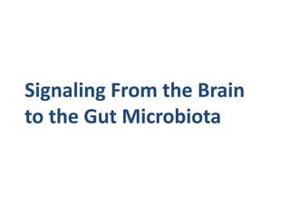 Signaling From the Brain
to the Gut Microbiota
 