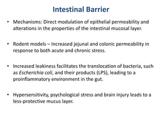 Intestinal Barrier
• Mechanisms: Direct modulation of epithelial permeability and
alterations in the properties of the intestinal mucosal layer.
• Rodent models – Increased jejunal and colonic permeability in
response to both acute and chronic stress.
• Increased leakiness facilitates the translocation of bacteria, such
as Escherichia coli, and their products (LPS), leading to a
proinflammatory environment in the gut.
• Hypersensitivity, psychological stress and brain injury leads to a
less-protective mucus layer.
 