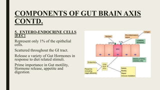 COMPONENTS OF GUT BRAIN AXIS
CONTD.
5. ENTERO-ENDOCRINE CELLS
[EEC]
Represent only 1% of the epithelial
cells.
Scattered throughout the GI tract.
Release a variety of Gut Hormones in
response to diet related stimuli.
Prime importance in Gut motility,
Hormone release, appetite and
digestion.
 
