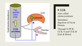 ■ CCK
Also called
cholecystokinin.
Stimulates
digestion of Fat &
Protein.
Through G-PCR:
CCK-A and CCK-B
[Gut & Brain]
 
