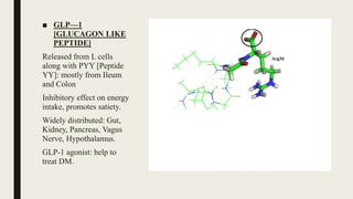 ■ GLP—1
[GLUCAGON LIKE
PEPTIDE]
Released from L cells
along with PYY [Peptide
YY]: mostly from Ileum
and Colon
Inhibitory effect on energy
intake, promotes satiety.
Widely distributed: Gut,
Kidney, Pancreas, Vagus
Nerve, Hypothalamus.
GLP-1 agonist: help to
treat DM.
 