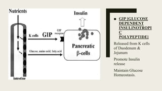 ■ GIP [GLUCOSE
DEPENDENT
INSULINOTROPI
C
POLYPEPTIDE]
Released from K cells
of Duodenum &
Jejunum
Promote Insulin
release
Maintain Glucose
Homeostasis.
 