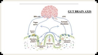 GUT BRAIN AXIS
 