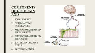 COMPONENTS
OF GUTBRAIN
AXIS:
1. VAGUS NERVE
2. NEUROACTIVE
SUBSTANCES
3. MICROBIOTA DERIVED
METABOLITES
4. MICROBIOTA DERIVED
PRODUCTS
5. ENTEROENDOCRINE
CELLS
6. GUT HORMONES
 