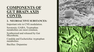 COMPONENTS OF
GUT BRAIN AXIS
CONTD.
2. NEUROACTIVE SUBSTANCES:
Important role in CNS modulation.
Serotonin, GABA, Tryptophan
metabolites are most common.
Synthesized and released by Gut
Microbiota.
Candida and Escherichia: tryptophan
metabolites
Bacillus: Dopamine
 