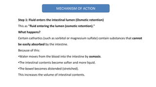 MECHANISM OF ACTION
Step 1: Fluid enters the intestinal lumen (Osmotic retention)
This as "fluid entering the lumen (osmotic retention)."
What happens?
Certain cathartics (such as sorbitol or magnesium sulfate) contain substances that cannot
be easily absorbed by the intestine.
Because of this:
•Water moves from the blood into the intestine by osmosis.
•The intestinal contents become softer and more liquid.
•The bowel becomes distended (stretched).
This increases the volume of intestinal contents.
 
