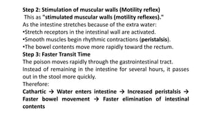 Step 2: Stimulation of muscular walls (Motility reflex)
This as "stimulated muscular walls (motility reflexes)."
As the intestine stretches because of the extra water:
•Stretch receptors in the intestinal wall are activated.
•Smooth muscles begin rhythmic contractions (peristalsis).
•The bowel contents move more rapidly toward the rectum.
Step 3: Faster Transit Time
The poison moves rapidly through the gastrointestinal tract.
Instead of remaining in the intestine for several hours, it passes
out in the stool more quickly.
Therefore:
Cathartic → Water enters intestine → Increased peristalsis →
Faster bowel movement → Faster elimination of intestinal
contents
 